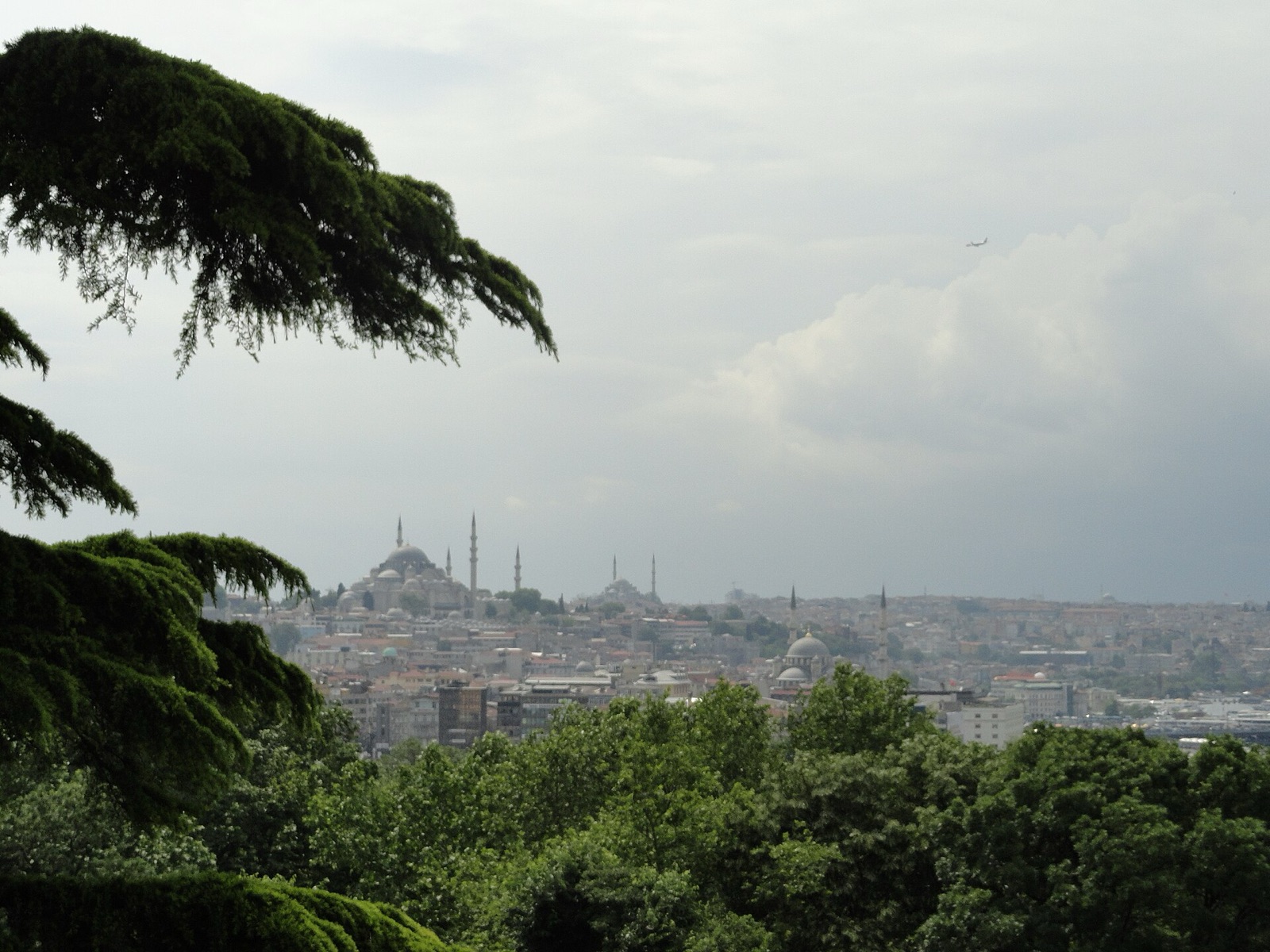 Best Istanbul Tours: 7 Perfect Picks for a Great 2026 Trip