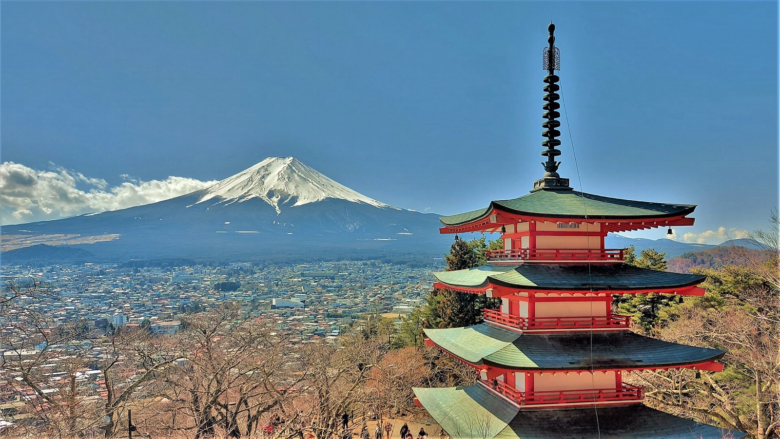 Best Japan Tours: 7 Perfect Picks for an Amazing 2026 Trip