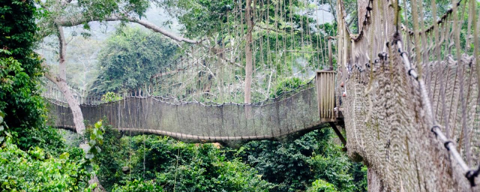 Sustainable Travel Tips: 10 Proven Ways for Simple Trips